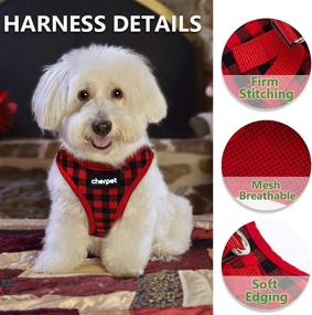 img 1 attached to 🐶 CHERPET Puppy Harness and Leash Set: Plaid Cute Adjustable Full Body Vest for Small Dogs - Escape Proof, Safety, No Pull Halter, Breathable Mesh, Easy Walk Outdoor, Comfort Fit for Kittens & Small Animals