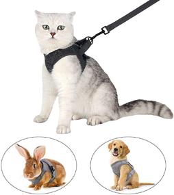 img 2 attached to 🐱 Escape Proof Cat Harness and Leash Set, Adjustable Soft Padded Vest with Running Cushioning, Comfortable Outdoor Jacket for Walking Pet Kitten Puppy Rabbit - oUUoNNo