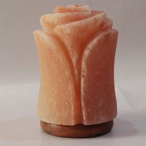 img 1 attached to 🌸 Exquisite Flower-Shape Himalayan Salt Lamp: Authentic and Hand-Carved, Sourced from Pakistan