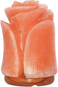 img 4 attached to 🌸 Exquisite Flower-Shape Himalayan Salt Lamp: Authentic and Hand-Carved, Sourced from Pakistan