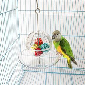 img 1 attached to 🦜 S-Mechanic Foraging Hanging Parrot Toy: Creative Ball for Chewing, Perching, and Playtime with Cockatiel, Conure, African Grey, Amazon, and Parakeet Birds - Ideal for Small to Medium Parrots