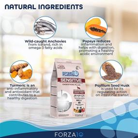 img 2 attached to 🐶 Forza10 Grain-Free Dry Dog Food for Adult Dogs with Sensitive Digestion and Stomach Issues - Complete and Balanced Nutrition