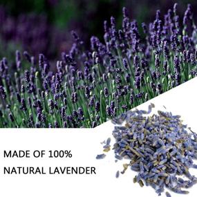 img 3 attached to 🌸 20 Pack RENM Organic Dried Lavender Sachets for Closets and Drawers - 10 Ounce Lavender Bud Sachets, Premium Dried Lavender Buds