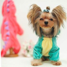 img 3 attached to 🐉 NIULA Dinosaur Dog Halloween Costume: Green Dragon Hoodie for Small & Medium Dogs