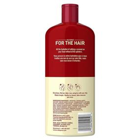 img 3 attached to Old Spice Fiji 2 in 1 Men's Shampoo and Conditioner: Complete Hair Care Solution in a 25.3 FL OZ Bottle