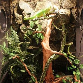 img 3 attached to PINVNBY Accessories Flexible Climbing Chameleon Reptiles & Amphibians