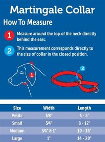 img 1 attached to 🐶 PetSafe Martingale Collar - Adjustable Design that Tightens on Dog's Pulling, Prevents Slipping - Ideal for Strong Pullers, Enhanced Control - Choke Collar Alternative - Available in Various Colors and Sizes