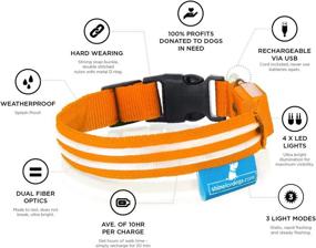 img 2 attached to Shine for Dogs Ultimate LED Collar: Rechargeable, 7X Colors & Rainbow Disco – Ultra Bright, Weatherproof, Durable