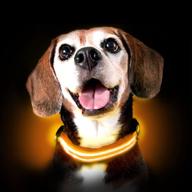 shine for dogs ultimate led collar: rechargeable, 7x colors & rainbow disco – ultra bright, weatherproof, durable logo