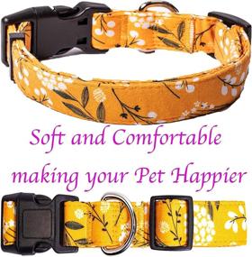 img 2 attached to 🐶 Designer Dog Collars: Stylish Patterns for Small, Medium & Large Male/Female Dogs - Adjustable, Durable & Long-lasting