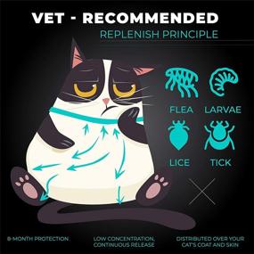 img 3 attached to CRUZYO Flea and Tick Prevention 🐱 for Cats - Universal Cat Size Protection