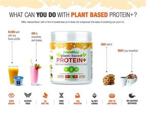 img 1 attached to 🥤 Смесь БлендитАп протеинового смузи - без сои - нулевой сахар, веганская, без ГМО, без глютена, улучшена для поисковой оптимизации