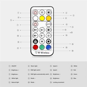 img 1 attached to 🌈 10,2-дюймовая кольцевая лампа с подставкой, держателем для телефона и пультом дистанционного управления - LTRINGYS кольцевая светодиодная лампа для макияжа с 26 цветами RGB-вспышек, диммируемая настольная кольцевая лампа для стриминга (разноцветная)