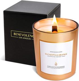 img 4 attached to 🕯️ Eucalyptus & Orange Scented Candles – Wood Wicked, 8 oz 45 Hour Burn, All Natural Soy. Create a Calming Ambiance with Aromatherapy in a Stylish Rose Gold Glass Jar.