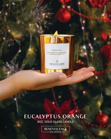 img 3 attached to 🕯️ Eucalyptus & Orange Scented Candles – Wood Wicked, 8 oz 45 Hour Burn, All Natural Soy. Create a Calming Ambiance with Aromatherapy in a Stylish Rose Gold Glass Jar.