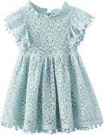 enchanting hollow sleeve princess frilled girls' dress: perfect clothing for dresses logo