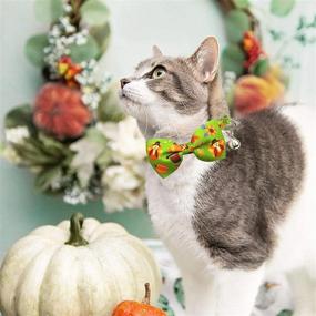 img 1 attached to 2 Pack Thanksgiving Removable Bow Tie and Bell for Cats - Holiday Turkey Pumpkin Kitty Kitten Breakaway Collar, Adjustable Size 7.8-12.8 inches