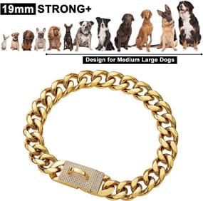 img 2 attached to 🐶 BMusdog Gold Chain Dog Collar: Stylish 19MM Bling Bling CZ Diamonds, Heavy Duty Thick 18K Gold Cuban Link Chain, Stainless Steel Metal Links for Training Medium Large Dogs 14" to 26