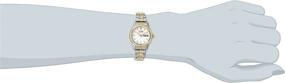 img 3 attached to Citizen Eco-Drive Expansion Band Watch for Women with Day/Date Functionality, Model EW3154-90A