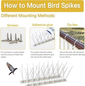 img 3 attached to 🦅 SEEKSEE 10 Pack Bird Spikes – 13 inch Stainless Steel Bird Deterrent Repellent Nails with Spinners, Effective Bird Repellent for Pigeons and Small Birds, 10 Ft Coverage