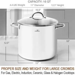 img 1 attached to 🍲 HOMICHEF 16 Quart Large Stock Pot with Glass Lid – Nickel-Free Stainless Steel Healthy Cookware Stockpots with Lids – 16 Quart Mirror-Polished Induction Pot – Commercial Grade Soup Pot Cooking Pot