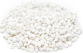 img 4 attached to 🌿 WUWEOT 6-lb Natural Decorative Bean Pebbles - Versatile 0.2" Gravel Rocks for Plants, Succulents, Vases, Aquariums and Terrariums (White)