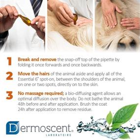 img 2 attached to Bayer Dermoscent Essential Spot Remedies