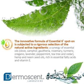 img 1 attached to Bayer Dermoscent Essential Spot Remedies