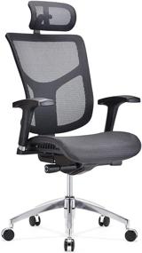 img 1 attached to Dreem II Mesh Series: Black Mesh Ergonomic Office Chair with Chrome Base & Headrest by GM Seating