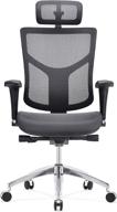 dreem ii mesh series: black mesh ergonomic office chair with chrome base & headrest by gm seating logo