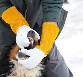 img 2 attached to Animal Handling Work Gloves Falconry