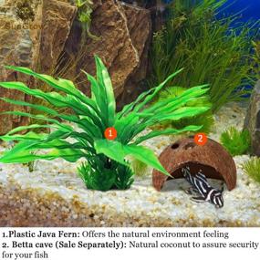 img 1 attached to 🌿 SunGrow Long Leaf Java Fern: 2-Pack Plastic Artificial Plant Decor for Aquarium - Ready to Install and Enhance Aquatic Ambiance