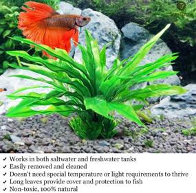 img 4 attached to 🌿 SunGrow Long Leaf Java Fern: 2-Pack Plastic Artificial Plant Decor for Aquarium - Ready to Install and Enhance Aquatic Ambiance