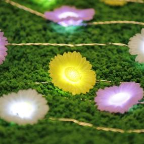 img 2 attached to 🌼 IMPRESS LIFE Daisy String Lights - 10 ft with Remote Control for Patio, Terrace, Parties, Bedroom, and Home Decorations