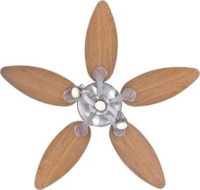 img 1 attached to 🌀 Westinghouse Lighting 7233100 Xavier Indoor Ceiling Fan: 44 Inch, Brushed Nickel Elegance