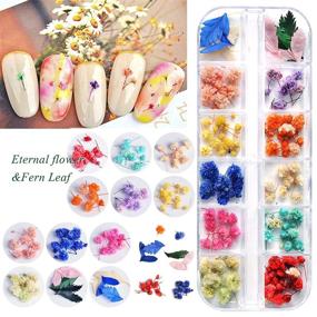 img 1 attached to 🌸 EBANKU 132PCS 3D Dried Flowers Nail Art Decals: Colorful Gypsophila Daisy Hydrangea Stickers with Tweezers and Real Natural Flower Decoration Supplies