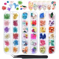 🌸 ebanku 132pcs 3d dried flowers nail art decals: colorful gypsophila daisy hydrangea stickers with tweezers and real natural flower decoration supplies logo