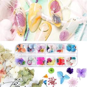 img 2 attached to 🌸 EBANKU 132PCS 3D Dried Flowers Nail Art Decals: Colorful Gypsophila Daisy Hydrangea Stickers with Tweezers and Real Natural Flower Decoration Supplies