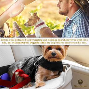 img 1 attached to 🚗 SunGrow 2 Dog and Cat Car Seat Belts: Stress-Free Travel in Crate/Kennel, Adjustable & Supports All Cars