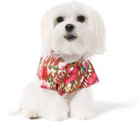 img 3 attached to 🌺 United Pups Hawaiian Shirt: Summer Luau Style Camp Vacation Floral Puppy T-Shirt for Small to Medium Pets