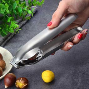 img 1 attached to 🥜 304 Stainless Steel Chestnut Clip Nutcracker Tool - Portable Chestnut Cutter, Pistachio & Macadamia Nut Opener, Walnut Knife - Metal Plier Multifunction Nut Opener for Improved SEO