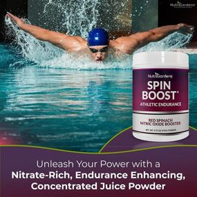 img 3 attached to 💪 Nutrigardens Spin Boost: High-Performance Nitric Oxide Pre-Workout Powder with Red Spinach & Beet Juice – Concentrated Superfood Formula, Provides 400mg Nitrate per Serving (20 Servings)