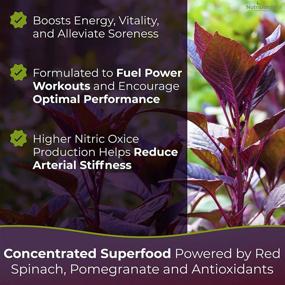 img 1 attached to 💪 Nutrigardens Spin Boost: High-Performance Nitric Oxide Pre-Workout Powder with Red Spinach & Beet Juice – Concentrated Superfood Formula, Provides 400mg Nitrate per Serving (20 Servings)