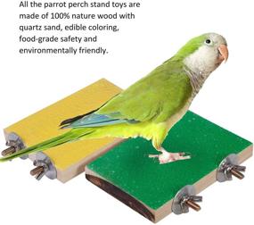 img 1 attached to 🐦 Petsvv 4 PCS Bird Perch Stand Toy, Wooden Parrot Perch Stand Platform for Paw Grinding, Cage Accessories for Exercise, Suitable for Budgies, Parakeets, Cockatiels, Conures, Hamsters, Gerbils, Rats, and Mice