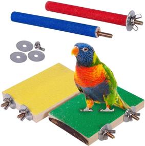 img 4 attached to 🐦 Petsvv 4 PCS Bird Perch Stand Toy, Wooden Parrot Perch Stand Platform for Paw Grinding, Cage Accessories for Exercise, Suitable for Budgies, Parakeets, Cockatiels, Conures, Hamsters, Gerbils, Rats, and Mice