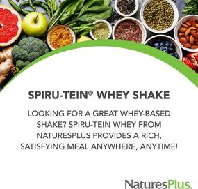 img 3 attached to 🍫 NaturesPlus SPIRU-TEIN Whey Shake - Chocolate: Energizing Meal Replacement with Spirulina, Vitamins, and Minerals - Vegetarian and Gluten-Free - 1lb