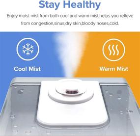 img 4 attached to LEVOIT Humidifiers Ultrasonic Humidifier Whisper Quiet