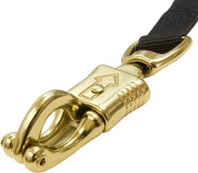 img 2 attached to Enhanced Tie Safe Trailer Tie by Intrepid International