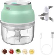 🧄 portable electric mini garlic chopper - usb rechargeable food processor with 250ml capacity and four blades for onions, nuts, pepper, ginger, salad, and fruits logo