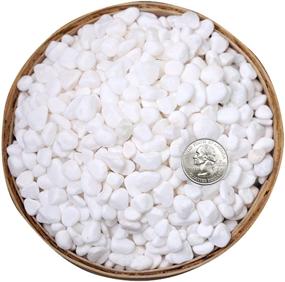 img 4 attached to Lulonpon River Rocks - 4.4lb Bag of Natural Polished White Stones - Small Decorative Pebbles for Home Décor and Landscaping